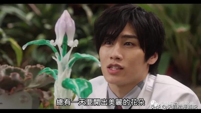 特利迦奥特曼01集｜光的继承者