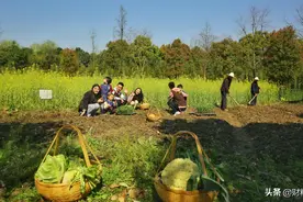 已全面启动！农村将进行“五拆”，村村都要涉及图片