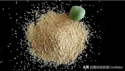 土豆到底能不能当饭吃？袁隆平生前是这么说的