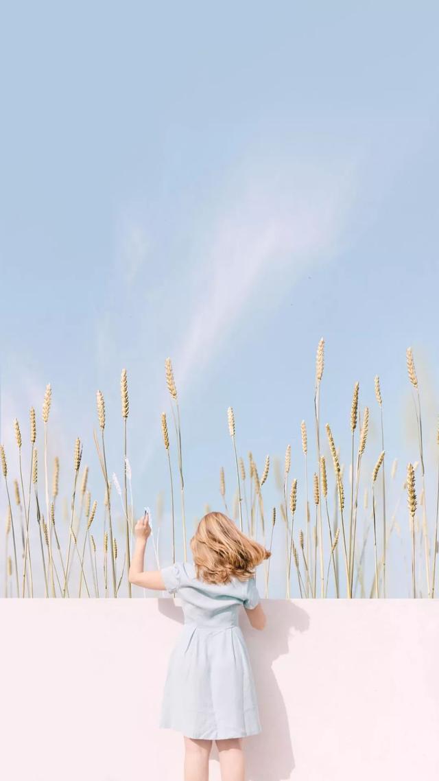 梦幻的粉色手机壁纸,溢出屏幕的少女心