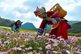 【回眸“十三五”】用产业之石 筑振兴之路！我州促进乡村产业振兴纪实图片