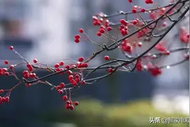 智能门锁被指“智商税”,不是产品太差而是市场太乱图片