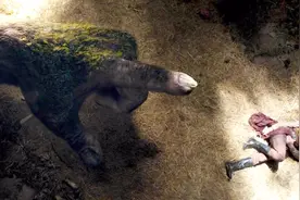 公主年满18周岁，如果还不结婚，就会成为巨型怪物的奴隶！视频封面