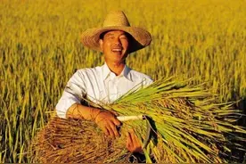 多国禁止粮食出口，中国人的餐桌还有保障吗？事实超出想象图片