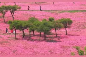 “佛城”弥勒，居然是一座网红城市图片