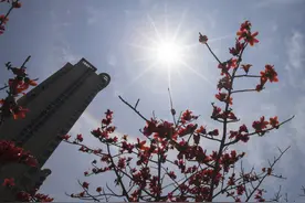 全国多地出现日晕，你看到了吗图片