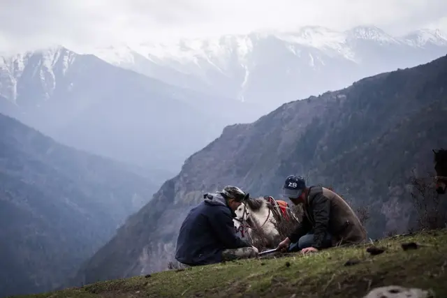 这些保健品都很坑，过年别送