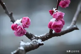余生，愿执子之手，走向岁月尽头图片