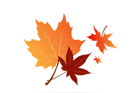 各种叶子（免抠图）图片