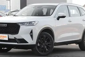 轴距一样/都是2.0T 凭什么大狗就卖得比H6贵？图片