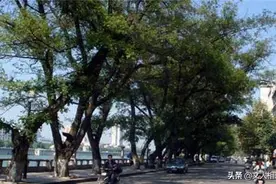上饶集中营两次暴动，多位新四军战士逃离虎口，后来大多成副省级图片