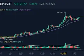 BNB全面布局图片