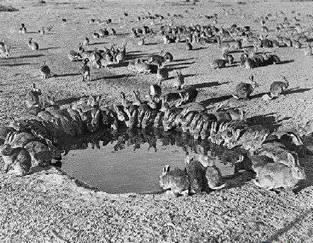 高中生物学习经验分享