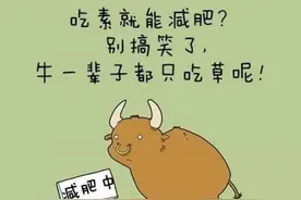 亲爱的呀，瘦下来怎么那么难，体重就和热气球似的，越升越高图片