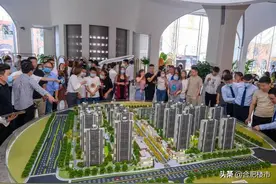 滨湖西网红盘面世，2020年购房者的超级福利图片