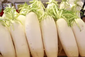 同是萝卜，“白皮”、“青皮”、“红皮”区别挺大，学会别挑错了图片