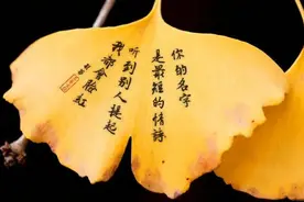 银杏叶的n种玩法图片