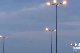 那些直戳人心的《奇葩说》金句图片