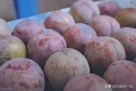 三华镇产的三华李，今年也不好卖图片