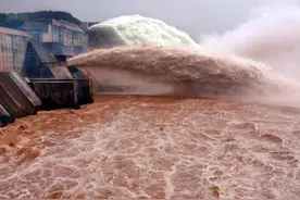 小浪底水库蓄水23年，里面最大的鱼有多大？调水调沙是好还是坏？图片