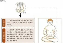 【丹道性命哲学】浅谈玄牝之门图片