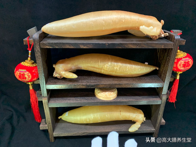 经期里可以吃花胶吗 经期可以吃花胶么