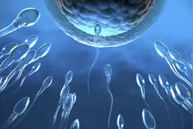 为什么鱼可以在体外受精，而人类则是在体内受精呢？图片