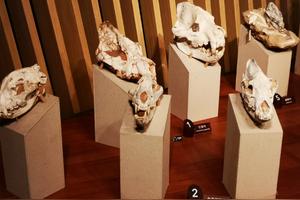 凶猛的巨鬣狗图