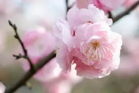 男人有几件私事，只会告诉他深爱的女人图片