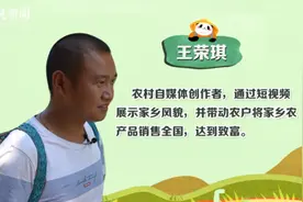 开班了村红② | 从打工人到三农Vlogger 四川小伙圈粉400w图片