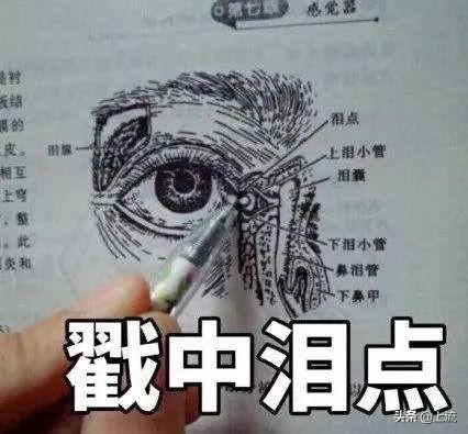 身上鸡皮疙瘩变红一片一片的