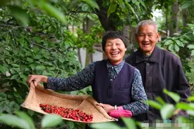 俗语“前门不点灯，后院不亮堂”是什么意思？蕴含老祖宗的智慧图片