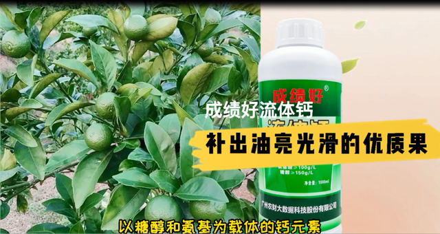 鍥炶鍙戠幇寰堝鏋滃洯琛ラ挋瀹屽叏娌℃湁琛ュ锛佽ˉ閽欎笁澶ц鍖猴紝浣犺俯涓簡鍚楋紵