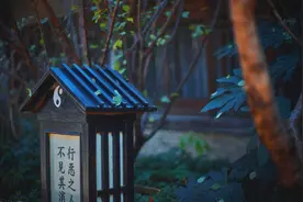易经：一个人到了50岁是不是在受苦，一目了然图片