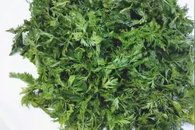 胡萝卜叶子别再扔了，按照这个方法做，很多人没吃过，营养美味视频封面