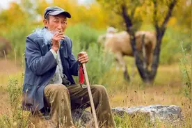 农村俗语“腊月不捡兔，正月不捡鸡”是什么意思？老话有道理吗？图片