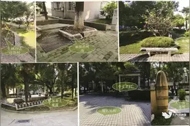 20年老小区花园翻新犹如“出水芙蓉”图片