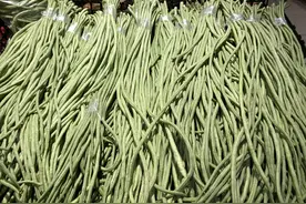 今天才知道，原来保存豆角这么简单，学会这2招，鲜嫩不会坏图片