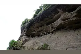 走岩骨花香，品武夷历史 | 一株树，一颗蛋，述尽武夷山千秋图片