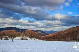 10句经典催泪歌词，再读已是曲中人图片