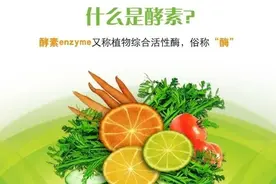 酵素的冷知识图片
