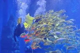 西宁童梦乐园如何玩图片