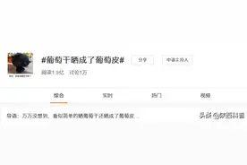 葡萄干晒成了葡萄皮？自制葡萄制品有风险！图片