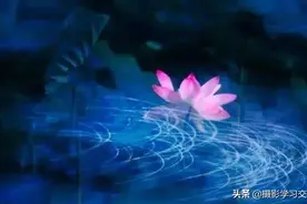 花卉特技摄影技巧为你提高图片