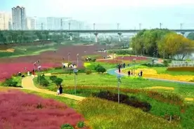 灞桥区完成绿化面积28.4万平方米 灞河生态廊道建设已初具规模图片