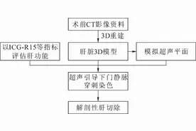 南大二附院肝胆胰外科王恺教授团队论文在腹部外科杂志发表图片