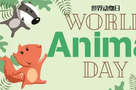 生命之声：2020世界动物日图片