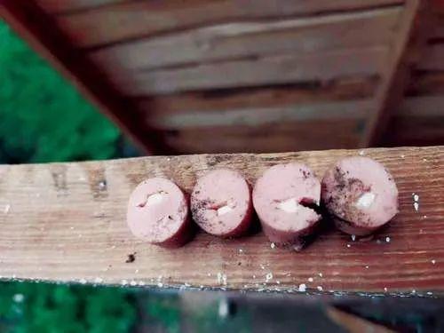 能救狗命!铲屎官必备急救知识你一定要掌握