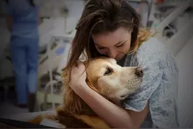 狗狗想告诉你的21件事，看完被感动到了图片