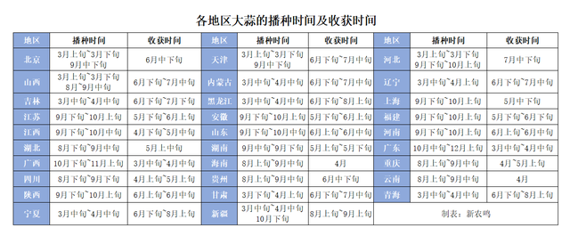 秋雨绵绵蒜农愁，大蒜播种及冬前管理方案来解忧